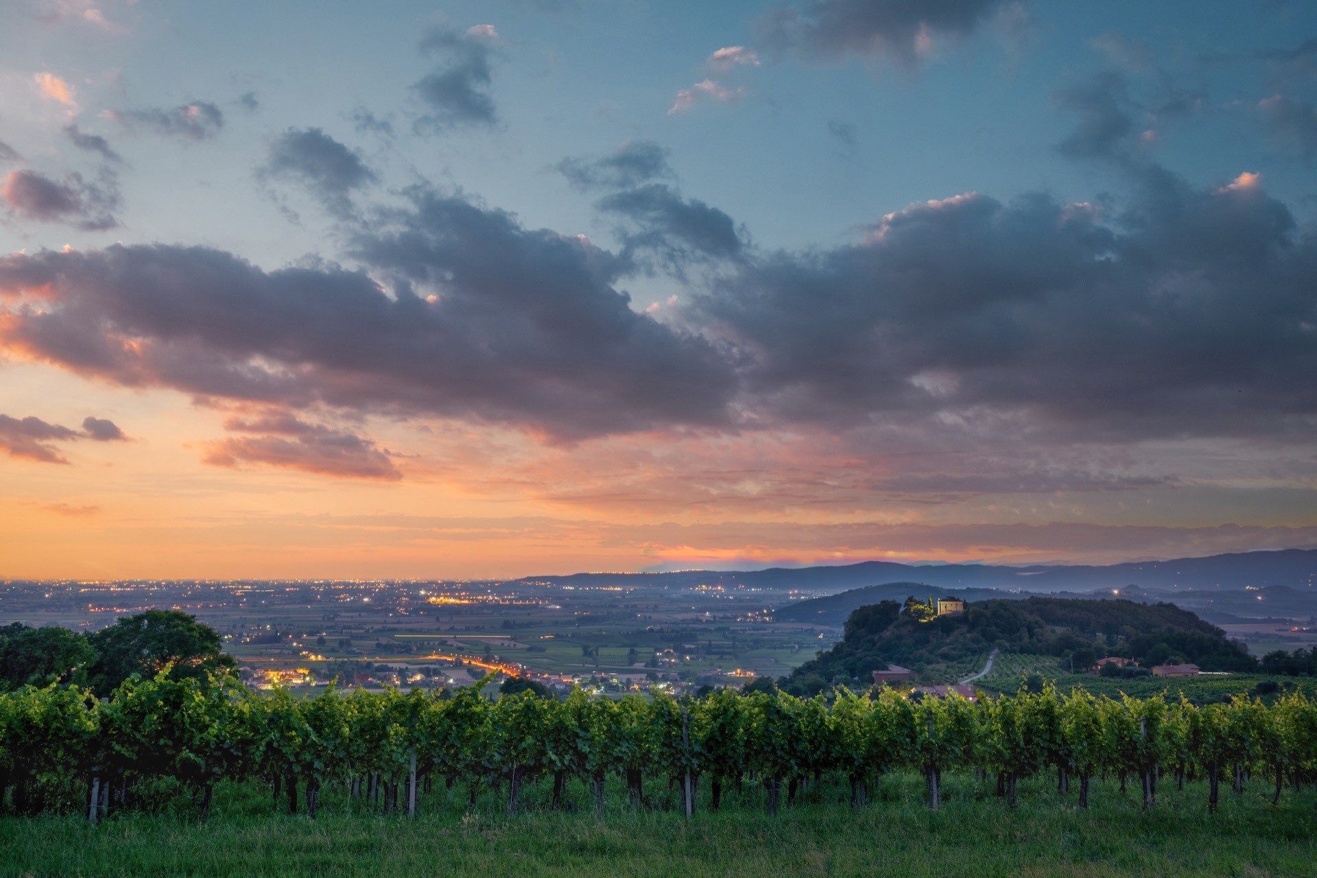 Tramonto sui vigneti a Vò Euganeo, nei Colli Euganei